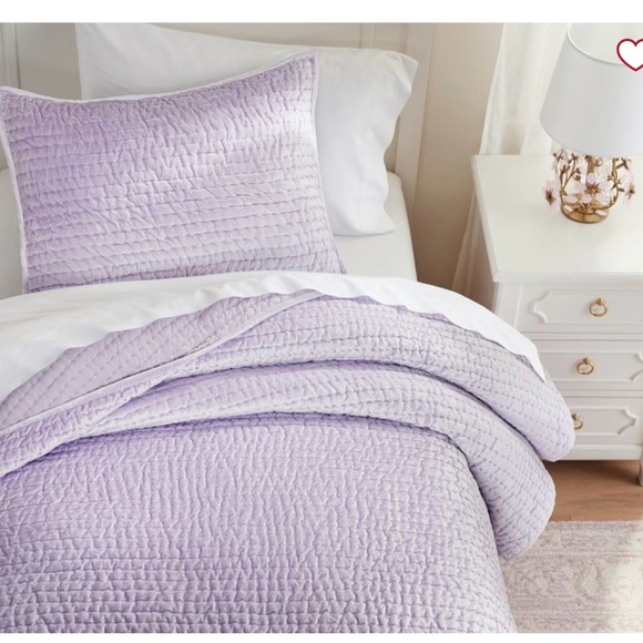 Pottery Barn Kids Other - Pottery Barn Velvet Quilt